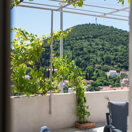Niko Dubrovnik